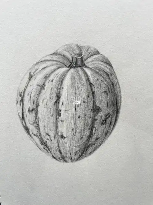 用到的铅笔是2h,f,b,3b#写生植物   #铅笔素描  #南瓜