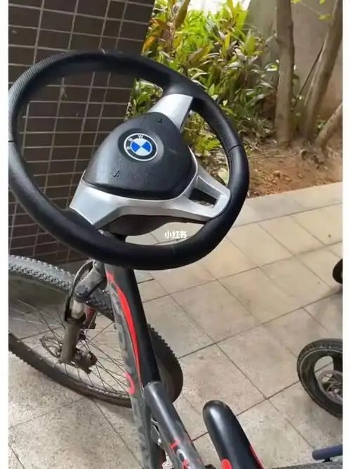 今天开宝马还是奥迪呢