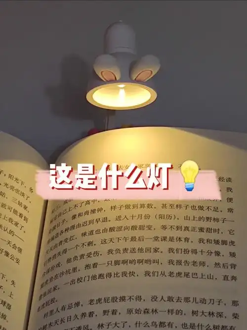黑暗里的一盏明灯