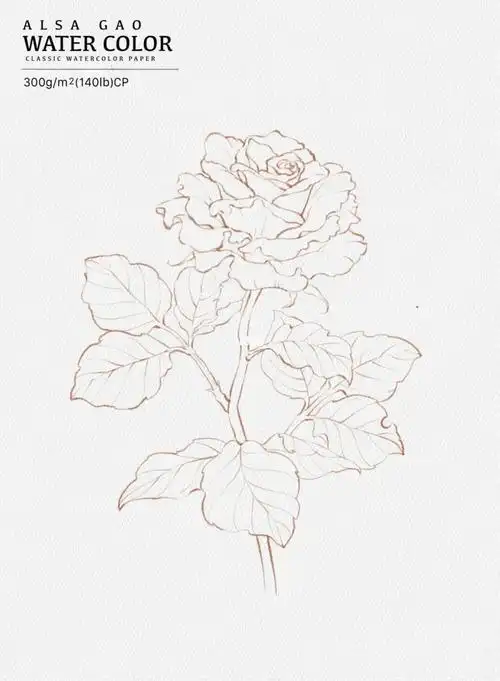 procreate  #板绘  #线稿  #ipad水彩