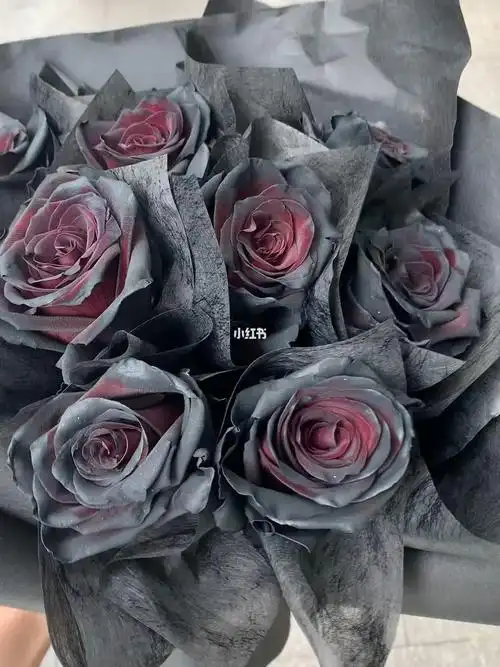 今天也有在想你黑玫成都花店