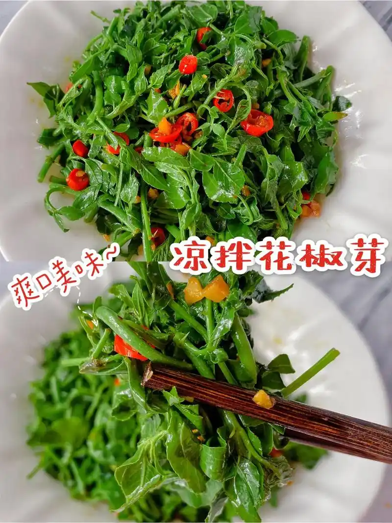 97 春季必吃～凉拌花椒芽97清新爽口美味7515 7878所需