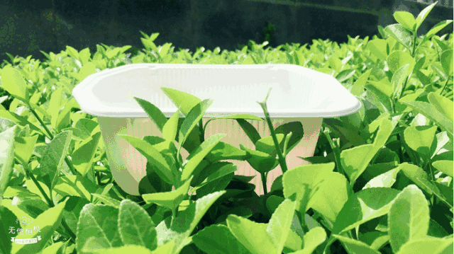 640_359gif 动态图 动图