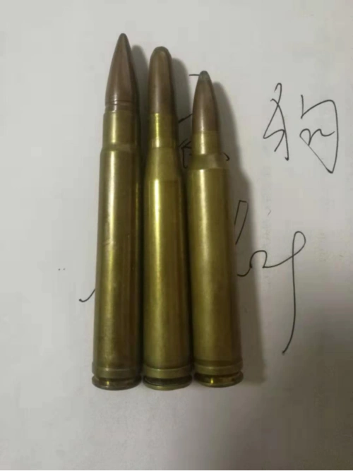 追梦少年们科普一波awm的300马格南弹可好