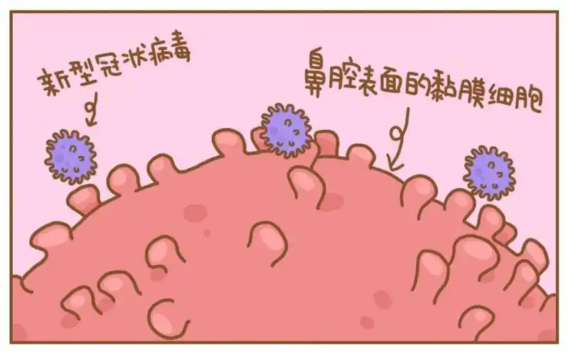 就能减少鼻屎形成还可以往鼻腔里喷点生理盐水把鼻屎泡软了擤出来如果