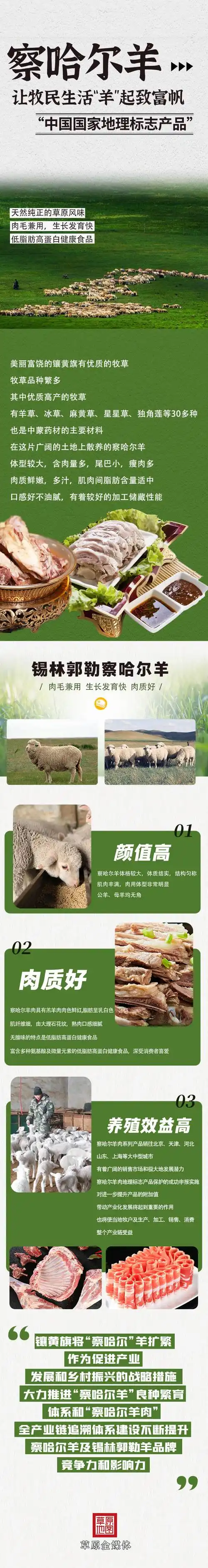 大美内蒙古·锦绣镶黄旗—察哈尔羊让牧民生活"羊"起致富帆