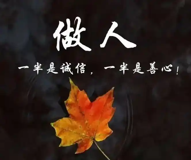 走走停停已过半生,读懂了人心看透了生活,见证了人心验证了人性 - 抖