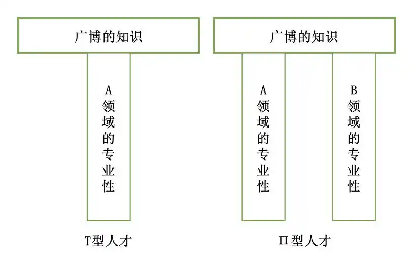 研究人员》报告中进行了讨论,他们提出了"t型人才"和"π型人才"的形象