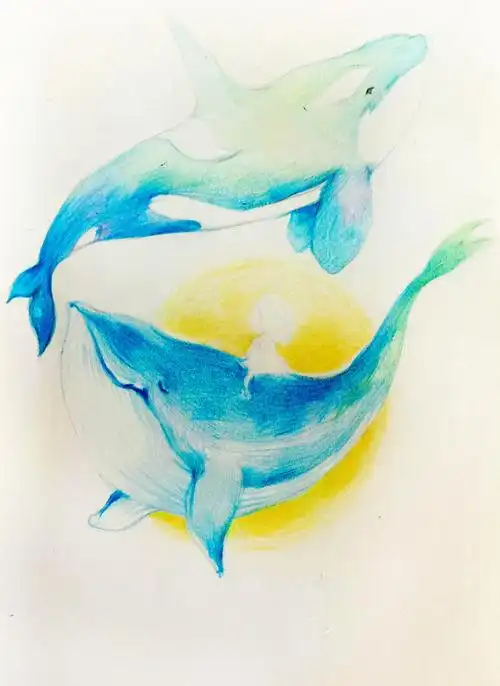 每天入坑-逼真彩铅教程-鲸鱼的梦 - 简书