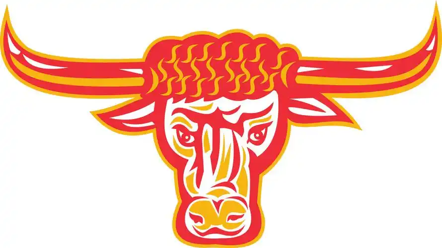 德克萨斯,长角牛,公牛,头部,复古,木刻,插画,正面