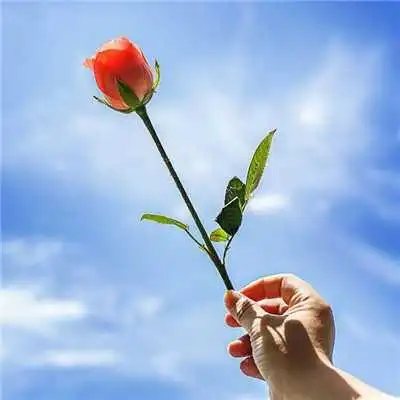 头像风景唯美小清新_唯美邂逅小清新_微信头像图片大全