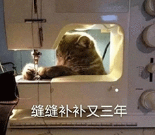 动图表情包:小趴菜专用