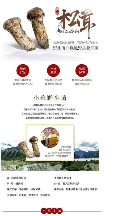 四川特产 雅江野生松茸1斤尝鲜装 细腻鲜美