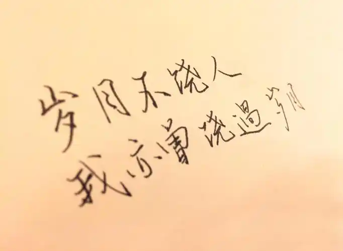 岁月不饶人我亦曾饶过岁月——木心「云雀叫了一整天」