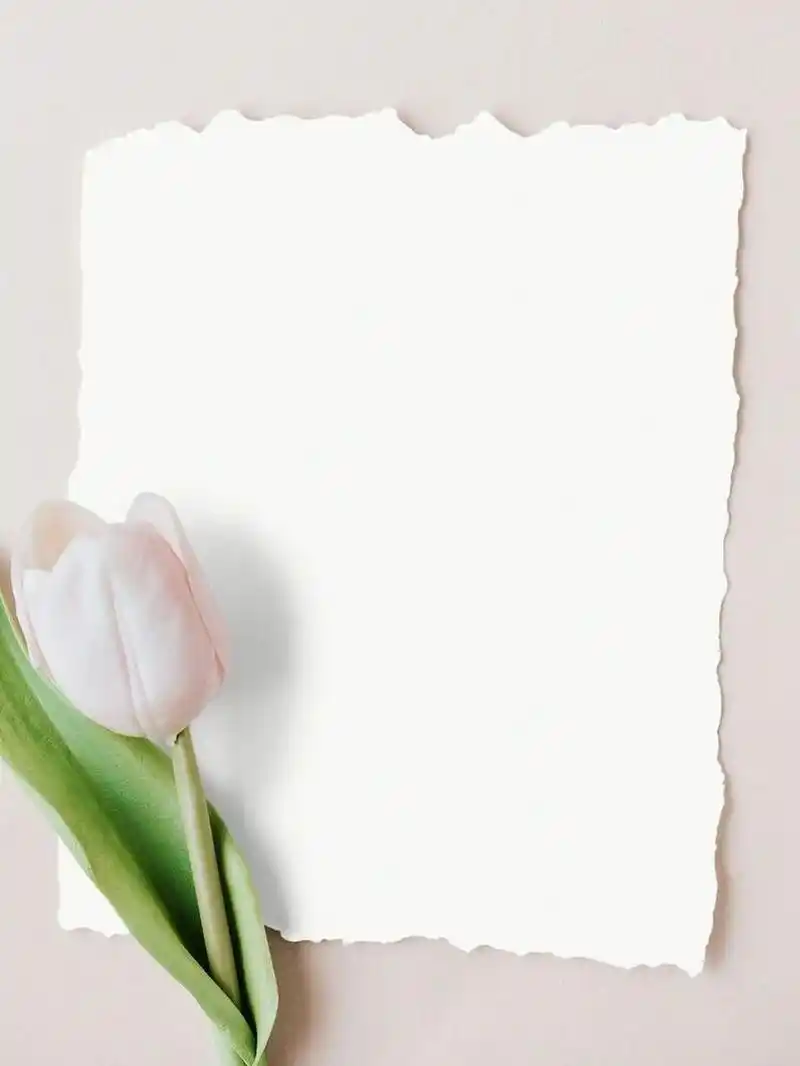 高级感晒单底图书单底图背景图美学素材分享 #浪漫生活的记录者# #设