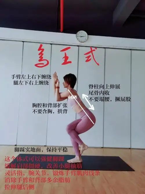 每日一式,漂亮的瑜伽体式——鸟王式