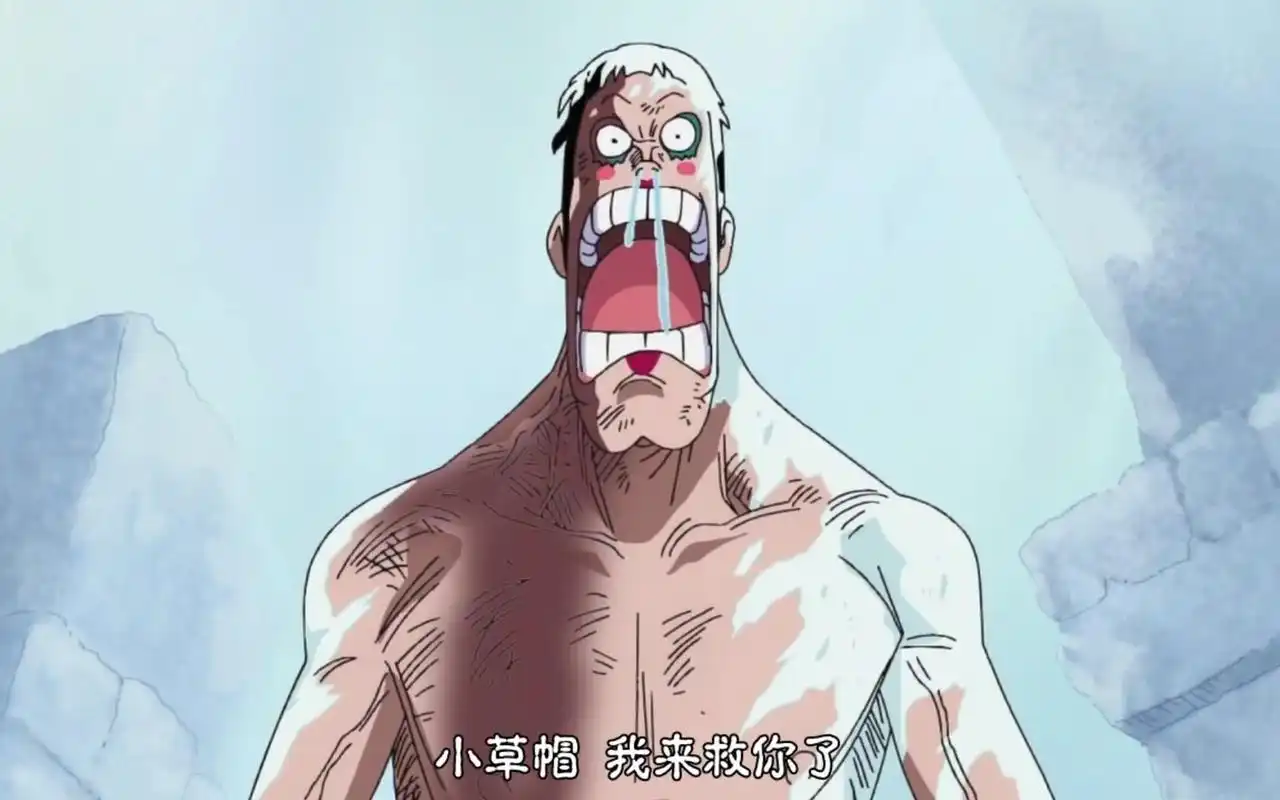 路飞还对不起自己的爷爷卡普,卡普本想把他培育成海军,路飞却选择了一