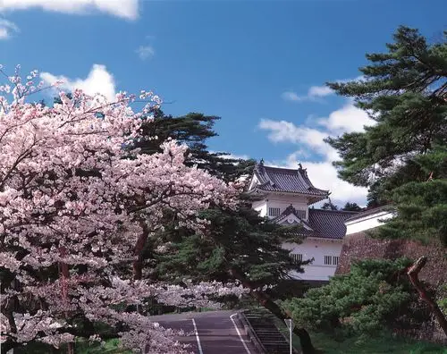 西北到仙台旅游