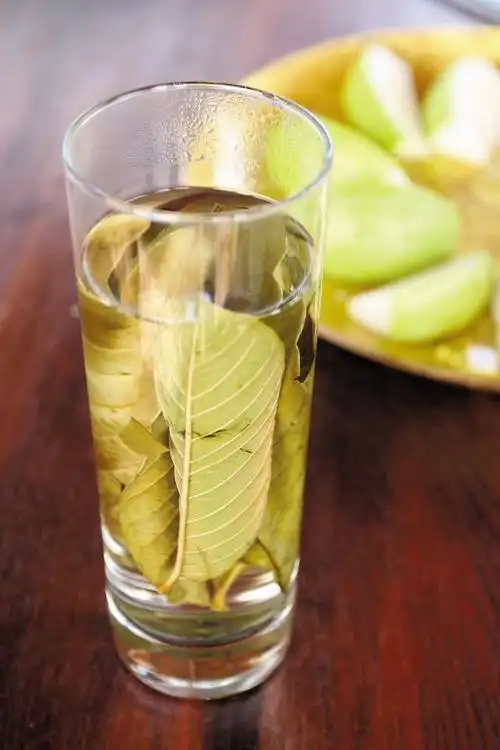 番石榴叶茶的功效与作用