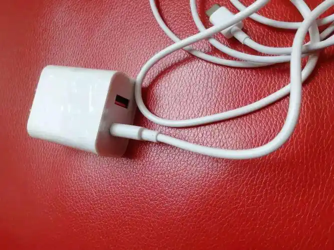 苹果充电器pd快充18w适用于苹果11,x系列专用闪充12充iphone11pro充电