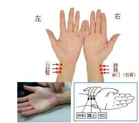 之前我们讲过把脉的正确姿势,下指时,先以中指按在手腕突出位置