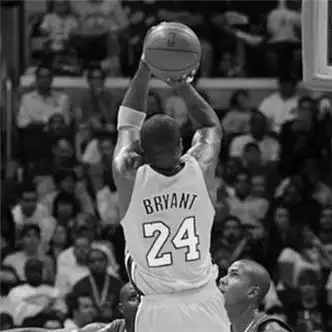 科比头像黑白高清帅气图片