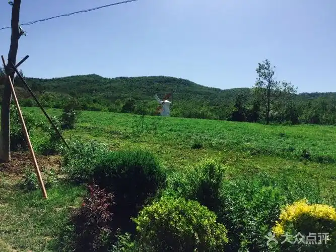 铭湖牧场-图片-瓦房店市周边游-大众点评网