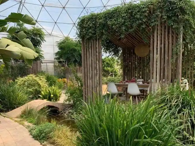 海归夫妇用废弃材料建了一个400亩有机农场值得借鉴