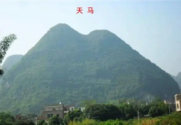 善德堂-杨公风水峦头学术中的天马砂图