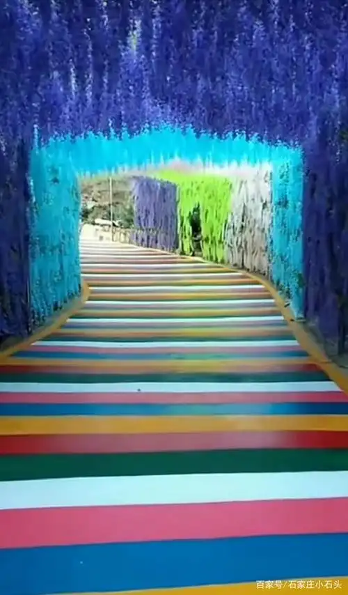 还有美丽的走廊