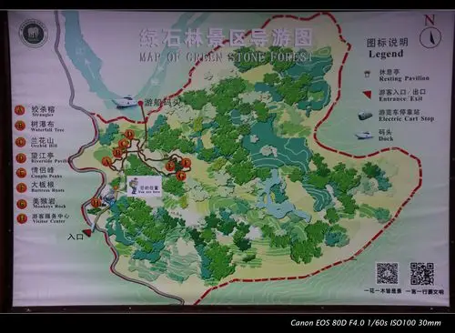 先去东区,绿石林景区 西双版纳热带植物园