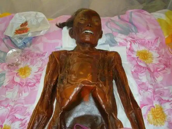 p>肉身舍利是指 a href="#" data-lemmaid="163332">佛教 /a>一个特