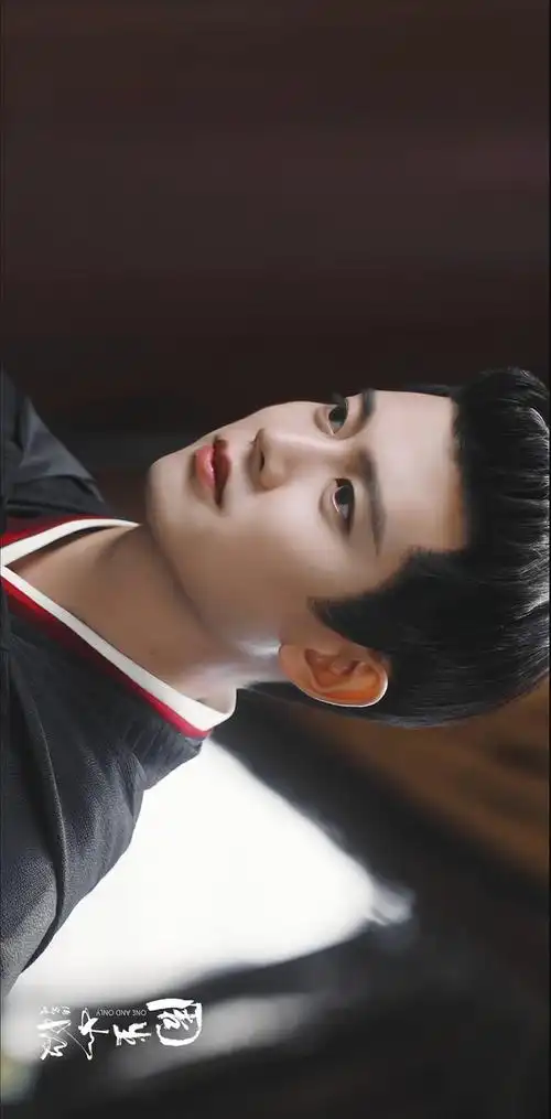 过来给任嘉伦小南辰王盖个美颜楼