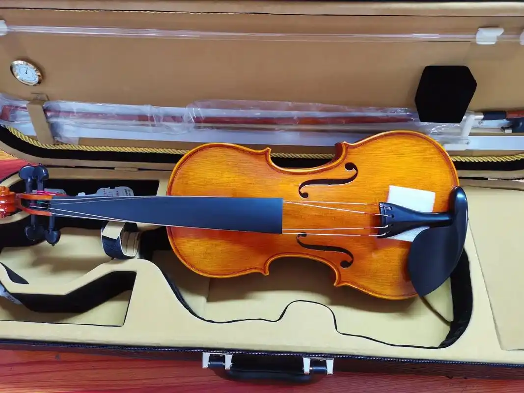 凤灵乐器.#凤灵小提琴,四月你好,愿你心怀温柔的希望,一路抵 - 抖音