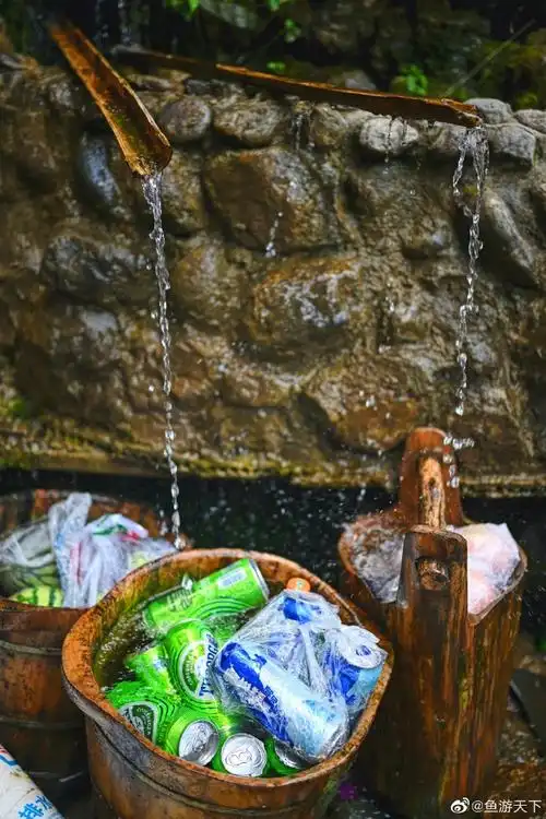 青城山桐去隐泉温泉度假酒店位于成都都江