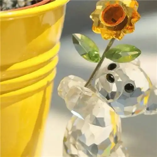 唯美清新静物创意头像图片_微信头像_头像屋