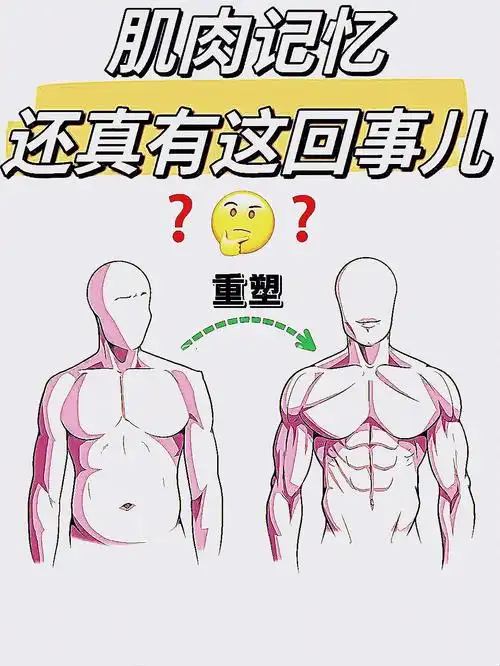 肌肉记忆还真有这回事
