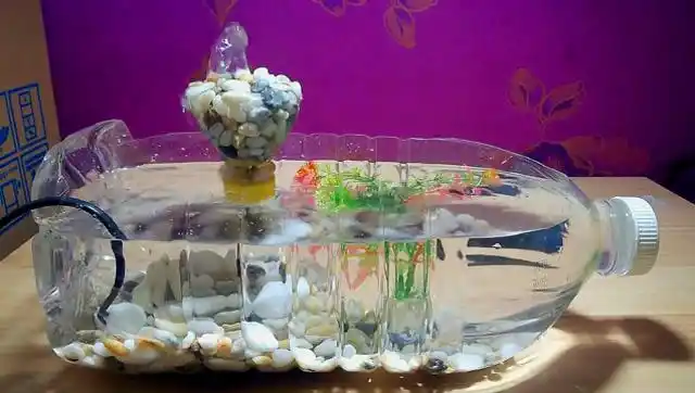 一分钟不到!废弃矿泉水瓶制作迷你鱼缸,经济美观实惠值得拥有