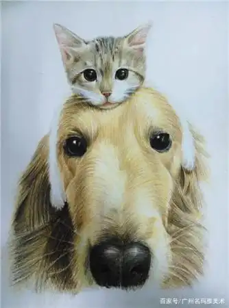 可爱动物彩铅画大赏