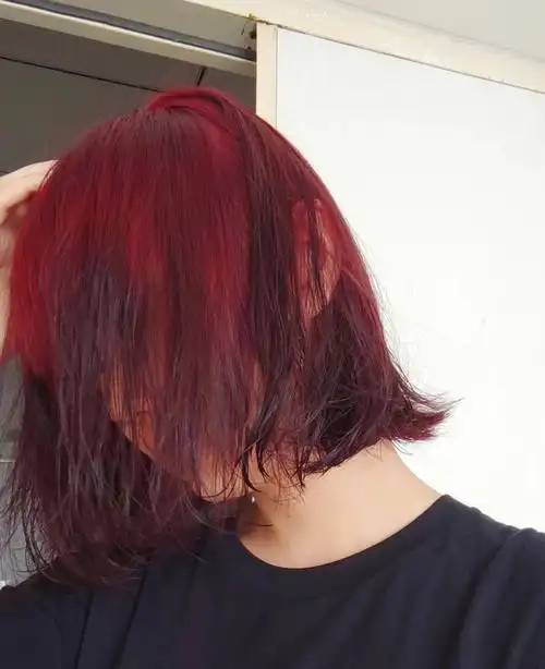 红杨树琴琴洋洋染发树莓红黑发直染