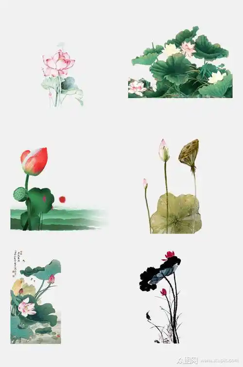 出淤泥而不染手绘水彩荷花荷叶免抠元素