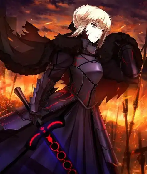 alter 黑贞 黑saber