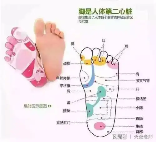 天豪老师分享:快看看自己的脚,有这三个特征的人要注意了!