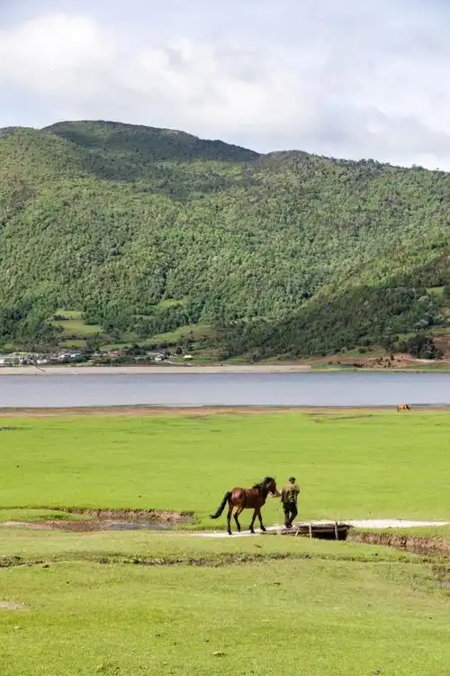 来云南丽江文海追寻散落在山水里的慢时光