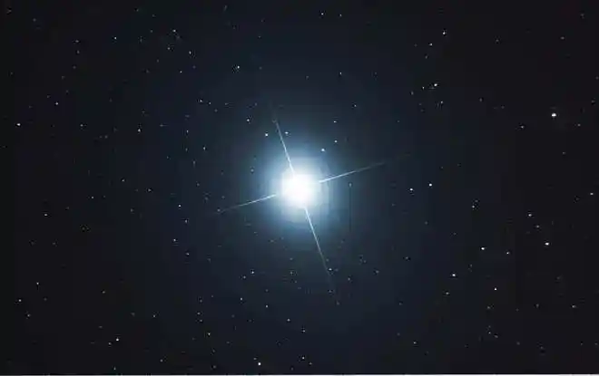 关于天狼星,一些不得不讲的事|罗德尼|太阳|恒星|猎户座_网易订阅