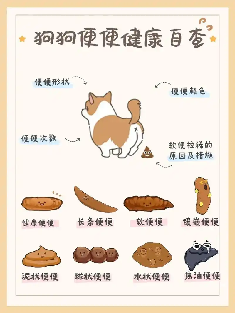 狗狗便便健康自查表#科学养宠攻略 #萌宠 #宠物 #养宠进阶 - 抖音