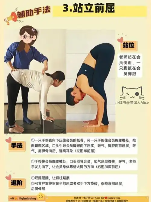 瑜伽教培辅助手法站立前屈体式笔记图册