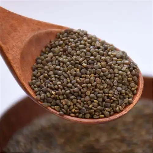 春源堂批发中药材沙苑子植物原药材产地陕西散装新货无杂质沙苑子