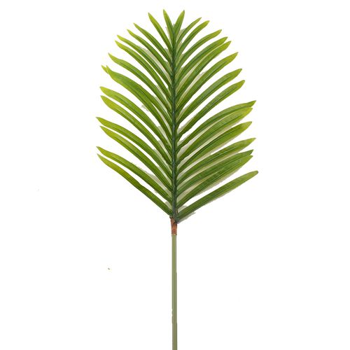 仿真铁树叶假叶子绿植插花植物墙装饰草散尾叶针葵叶舞蹈道具叶子