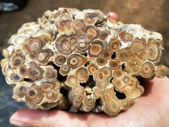 男子在火山口发现密密麻麻的"眼睛玛瑙",表面看起来十分瘆人